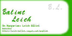 balint leich business card